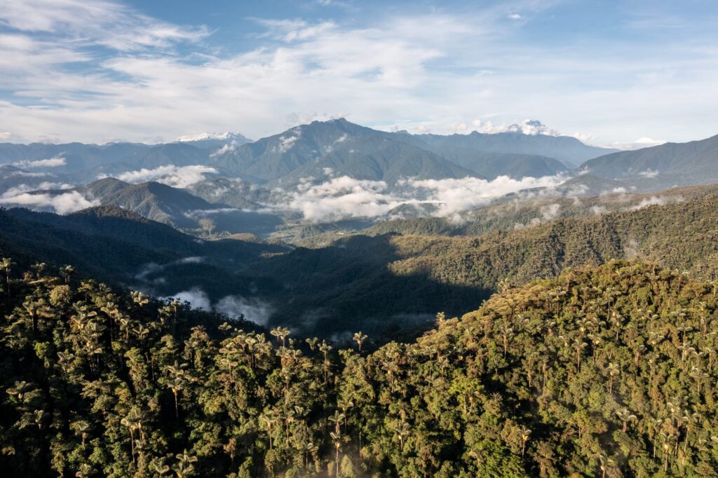 Nueva carretera ‘pone en riesgo la biodiversidad del Parque Nacional Llanganates’, advierte WWF