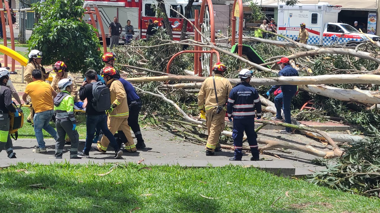 Dos niños fallecieron tras caída de árboles en el parque La Paz de Cuenca