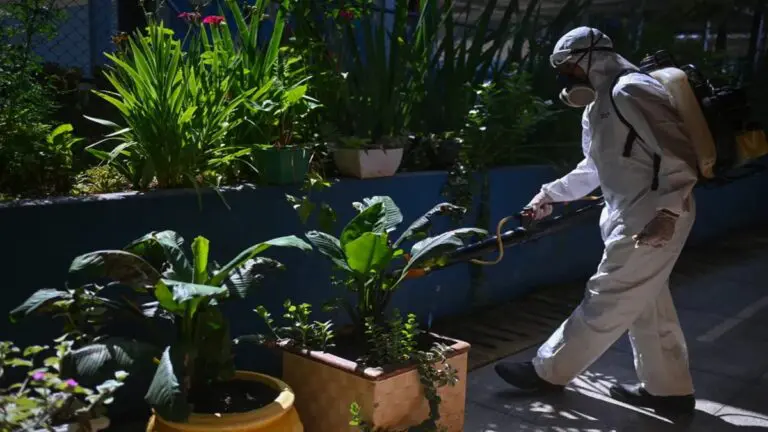 Brasil reporta 15 muertes por dengue en lo que va de 2025