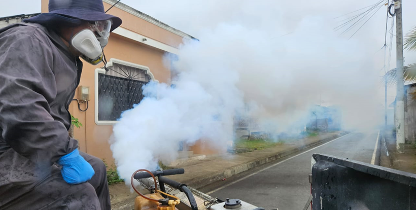 Ministerio de Salud reporta fallecidos por dengue en Ecuador en enero del 2025