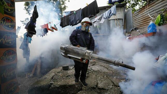 Ministerio de Salud reporta fallecidos por dengue en Ecuador en enero del 2025