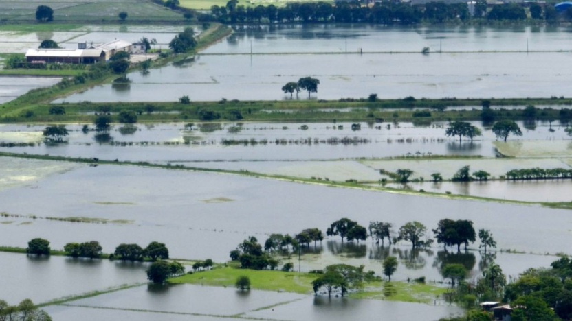 Lluvias causan pérdidas de 2 millones de dólares en cultivos