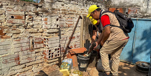 OPS alerta sobre riesgo de brotes de dengue por circulación del serotipo DENV-3 en las Américas