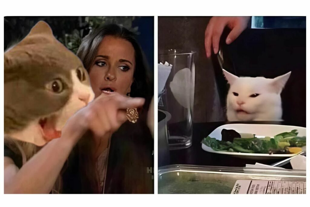 Día del Gato: ¿Cuál es el origen de los memes felinos más virales? 
