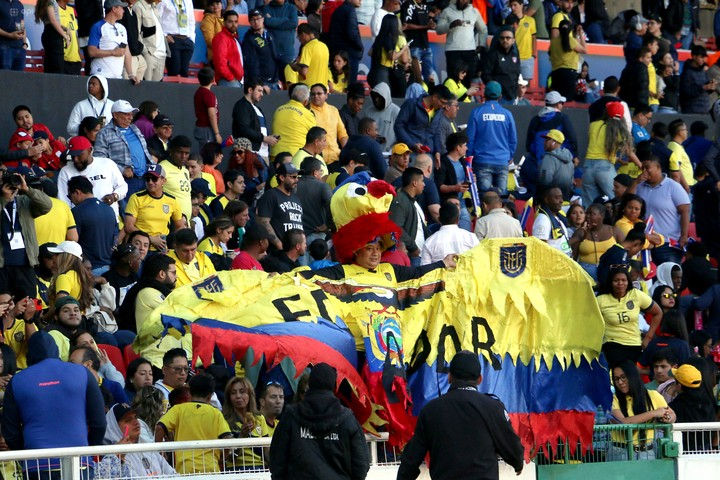 Gustavo Alfaro presentó otro reclamo a la FIFA por una deuda de la Federación Ecuatoriana de Fútbol: ¿puede haber sanción a La Tri? 5 Gustavo Alfaro presentó otro reclamo a la FIFA por una deuda de la Federación Ecuatoriana de Fútbol: ¿puede haber sanción a La Tri?