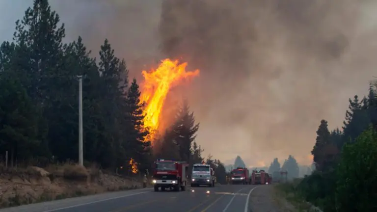Incendios forestales arrasan más de 40.000 hectáreas de la Patagonia argentina