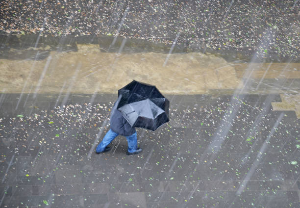 Condiciones atmosféricas y oceánicas favorecen intensificación de lluvias en el Litoral, alerta Inamhi