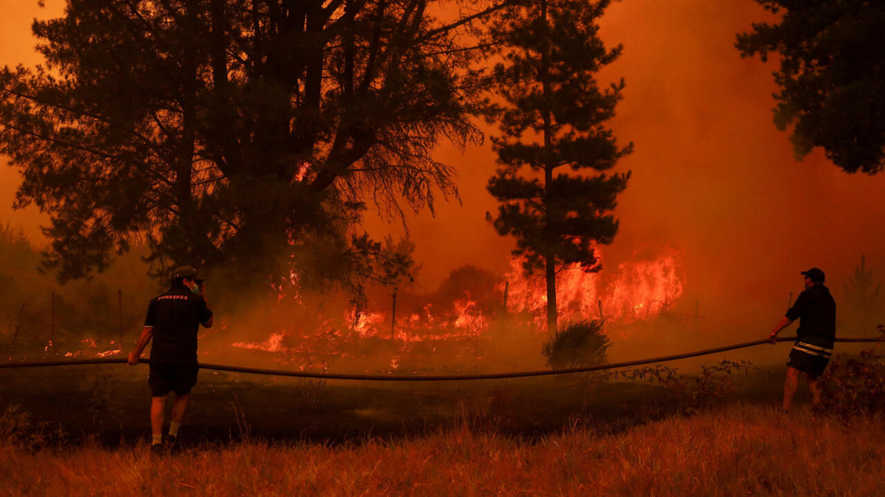 Chile enfrenta 12 incendios forestales activos en el sur del país