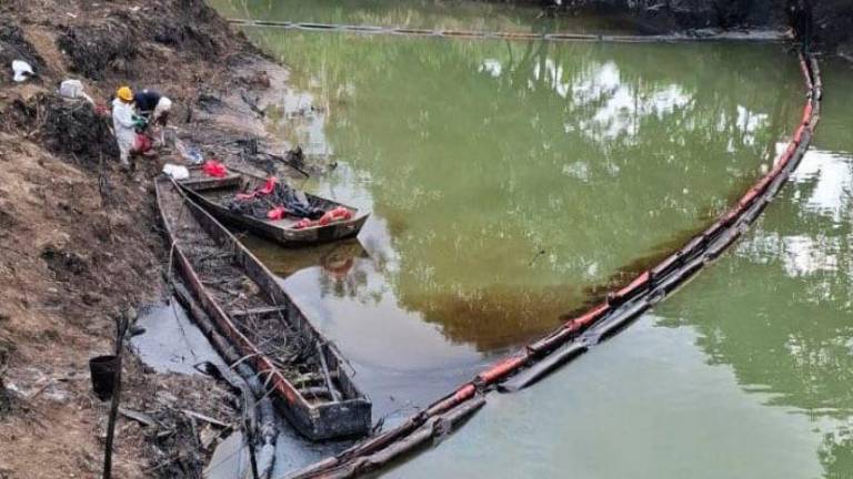 Esmeraldas afectada por nueva mancha de crudo tras colapso de dique de contención en el río Caple