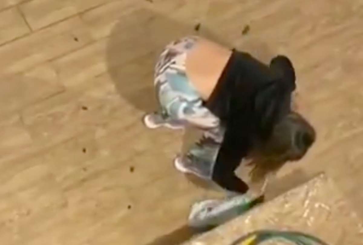 Cuenca: Influencer fue expuesta por maltrato animal