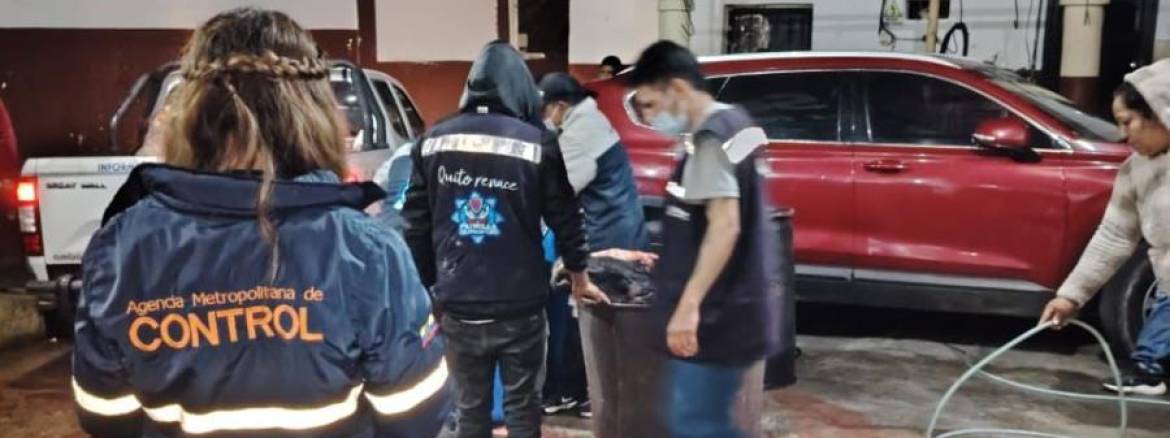 Quito | Un camal clandestino que funcionaba en el patio trasero de una casa fue clausurado