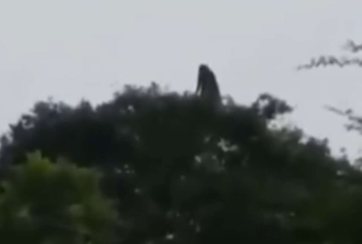 ¿Bruja, espectro o simple ilusión? Video causa revuelo al mostrar figura flotante en México