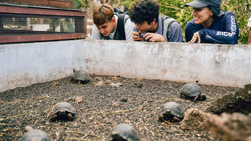 Así se puede obtener la tarjeta de control de tránsito vía internet para viajar a Galápagos