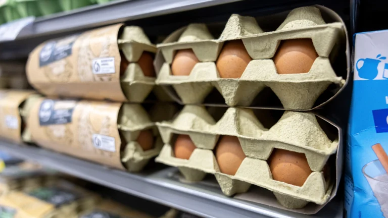 Autoridades brasileñas anuncian que foco de gripe aviar está «contenido»