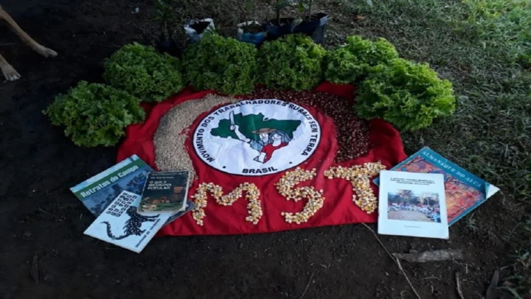 MST de Brasil impulsa reforma agraria ante crisis ambiental en Jornada de la Naturaleza