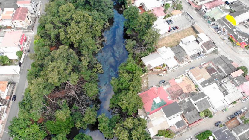 ¡Daño en manglar! Así quedó el Estero Salado tras derrame de combustible controlado
