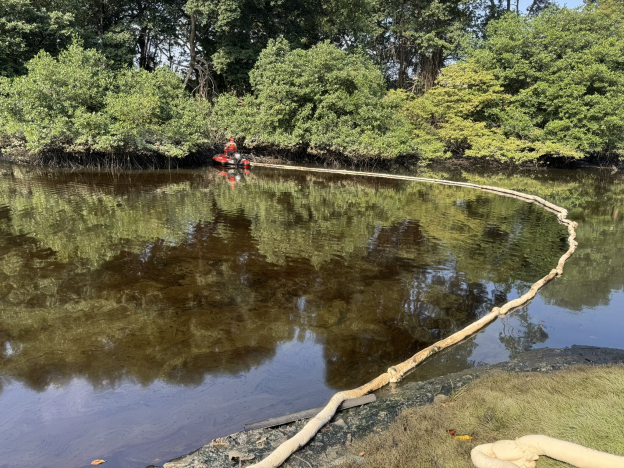 ¡Daño en manglar! Así quedó el Estero Salado tras derrame de combustible controlado 2 ¡Daño en manglar! Así quedó el Estero Salado tras derrame de combustible controlado