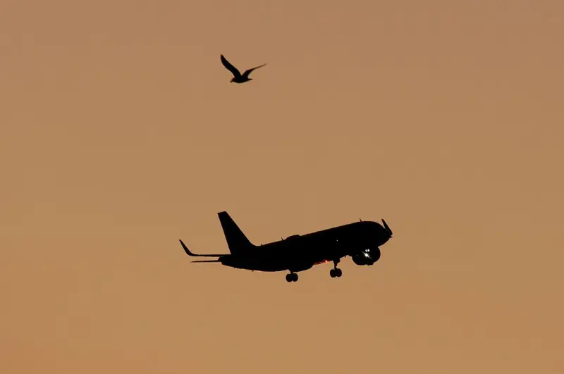 Cuatro posibles causas del accidente del avión de Air India que se estrelló en 30 segundos