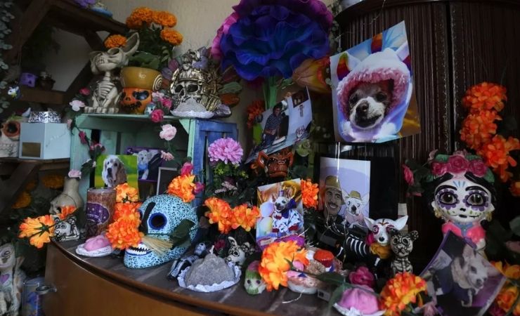 Día de Muertos para mascotas: ¿Por qué se celebra el 27 de octubre?
