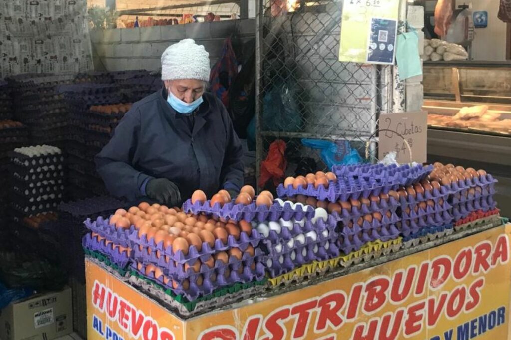 Crisis en el sector avícola por sobreproducción de huevos y caída de precios, esto cuesta en Quito