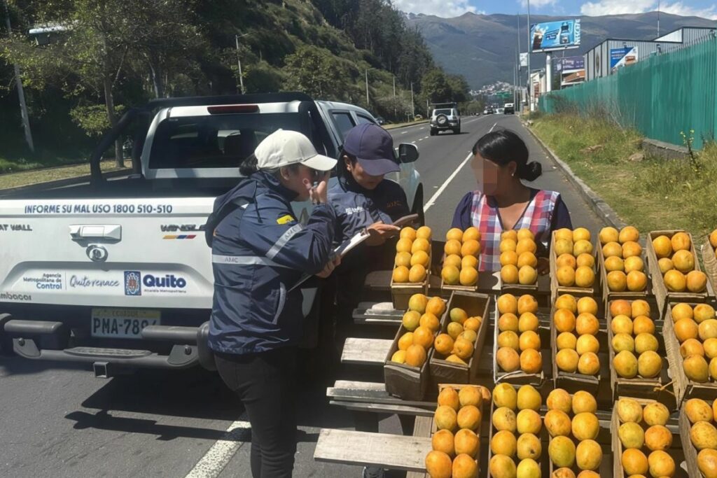 Decomisan 220 kilos de fruta en vías de alto riesgo en Quito, esta fue la que más se vendía