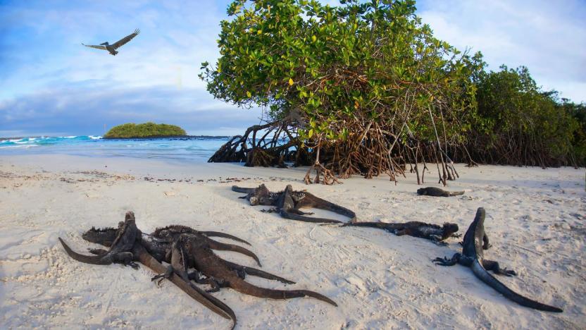 Parque Nacional Galápagos recibe reconocimiento internacional por liderazgo en conservación