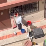 Denuncian tenencia de animales silvestres en vivienda de Quito