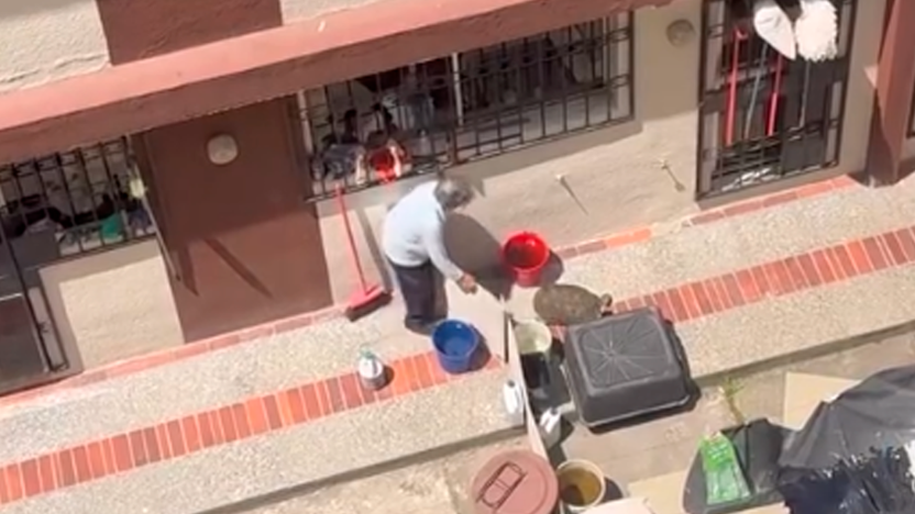 Denuncian tenencia de animales silvestres en vivienda de Quito