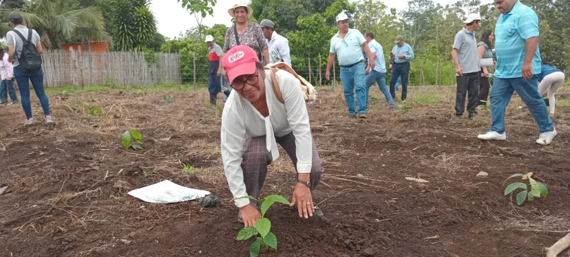 ECUADOR: Tras declaratoria de Loja, plantean retos para el café. 1792003515085 a965e55a cafe nac