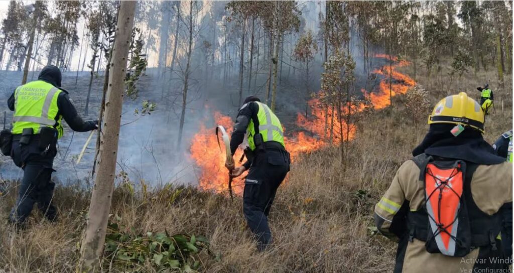 Ambato registra siete incendios forestales en medio de severo déficit hídrico captura