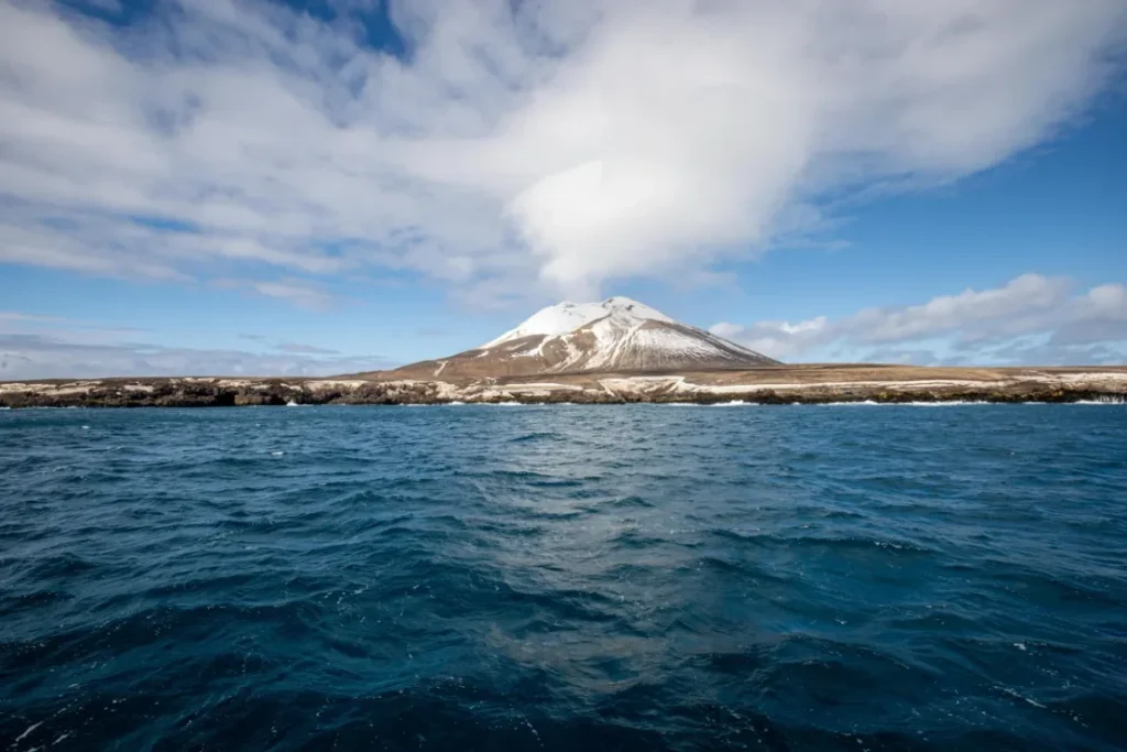 La mayor colonia de pingüinos del mundo pierde más de medio millón de ejemplares zavodo